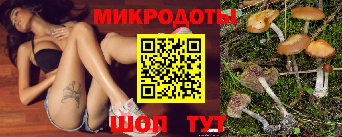 Галлюциногенные грибы MAGIC MUSHROOMS Александров